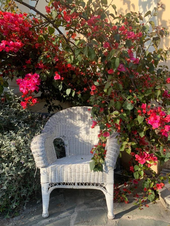 Hotel Alexandra - Boutique Hotel Juan-les-Pins Exterior foto